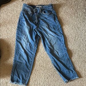 Joe's Jeans Blue Ankle & Cropped Denim
